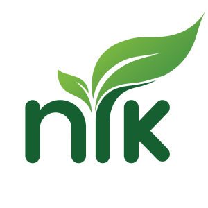 Digital marketing for NRK by agency in Calicut, Kerala