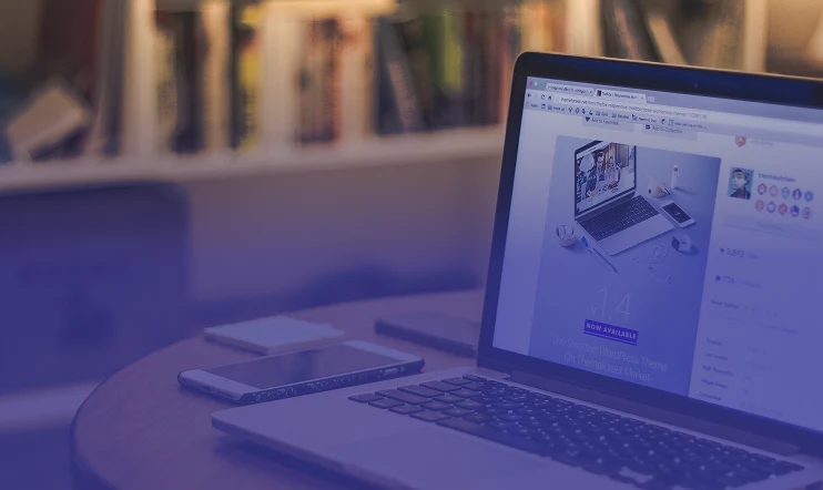 Professional Website Developers