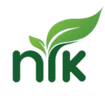 digital marketing services by the best digital marketing agency in kerala